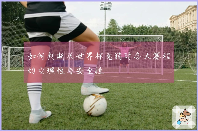 如何判断买世界杯竞猜时各大赛程的合理性与安全性