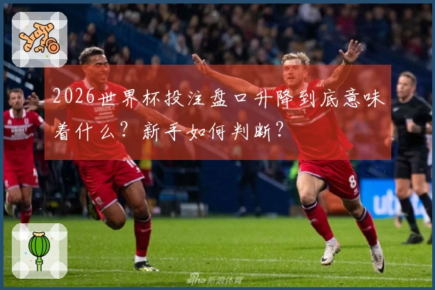 2026世界杯投注盘口升降到底意味着什么？新手如何判断？