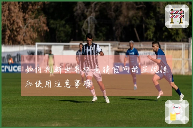 如何判断世界杯竞猜官网的正规性和使用注意事项