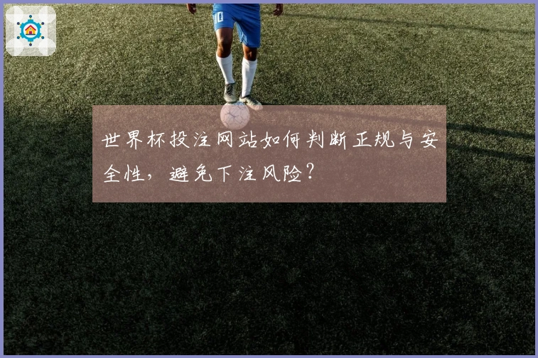 世界杯投注网站如何判断正规与安全性，避免下注风险？