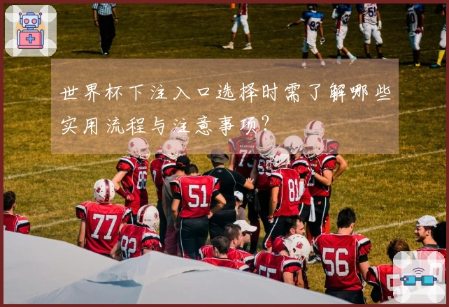 世界杯下注入口选择时需了解哪些实用流程与注意事项？