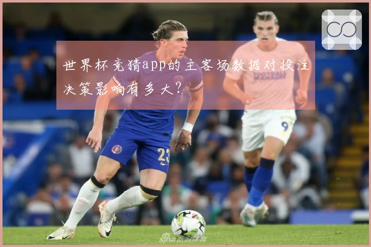 世界杯竞猜app的主客场数据对投注决策影响有多大？