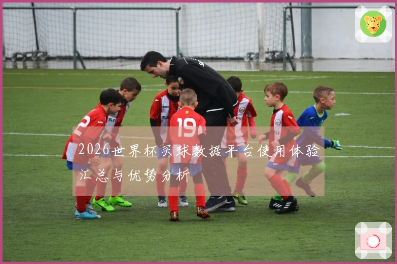 2026世界杯买球数据平台使用体验汇总与优势分析