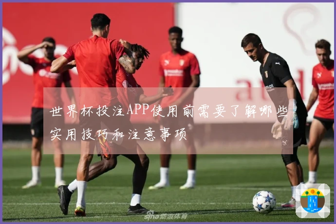 世界杯投注APP使用前需要了解哪些实用技巧和注意事项
