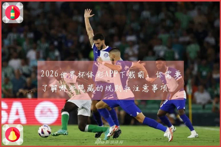 2026世界杯体彩APP下载前,你需要了解哪些隐藏的规则和注意事项