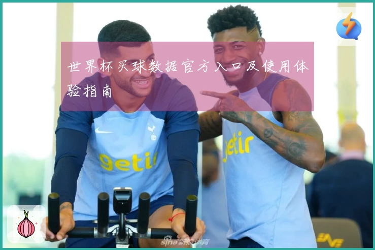 世界杯买球数据官方入口及使用体验指南
