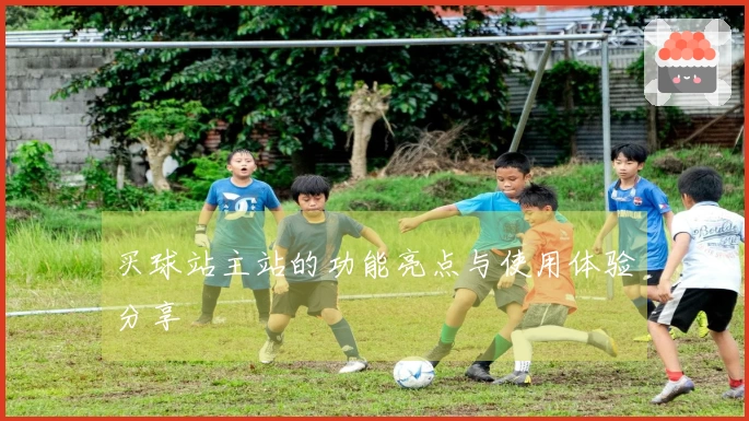 买球站主站的功能亮点与使用体验分享