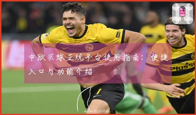 中欧买球正规平台使用指南：便捷入口与功能介绍