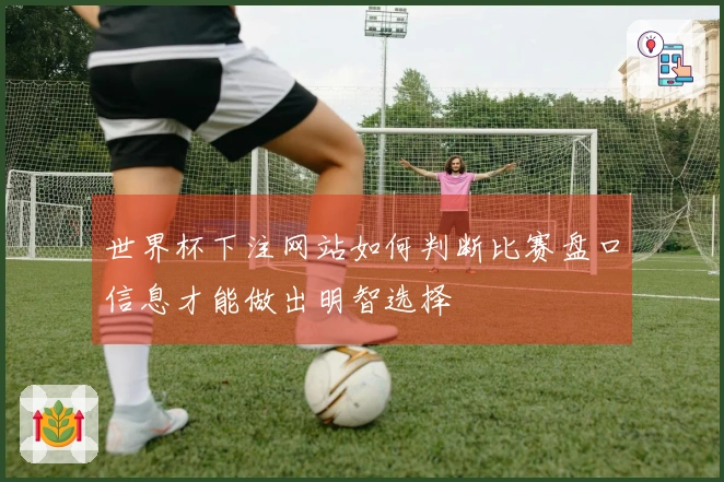 世界杯下注网站如何判断比赛盘口信息才能做出明智选择