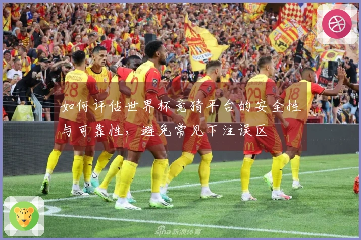 如何评估世界杯竞猜平台的安全性与可靠性，避免常见下注误区