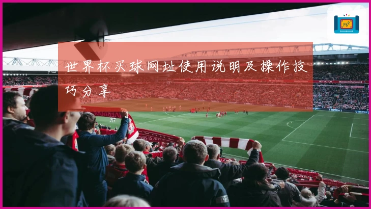 世界杯买球网址使用说明及操作技巧分享