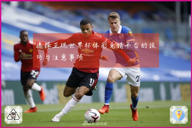 选择正规世界杯体彩竞猜平台的技巧与注意事项