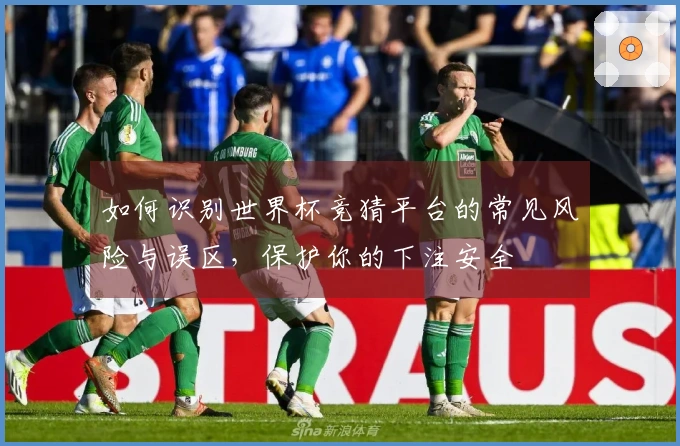 如何识别世界杯竞猜平台的常见风险与误区,保护你的下注安全