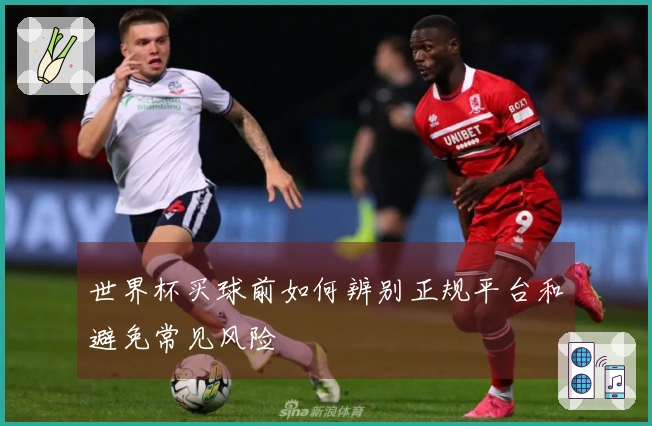世界杯买球前如何辨别正规平台和避免常见风险