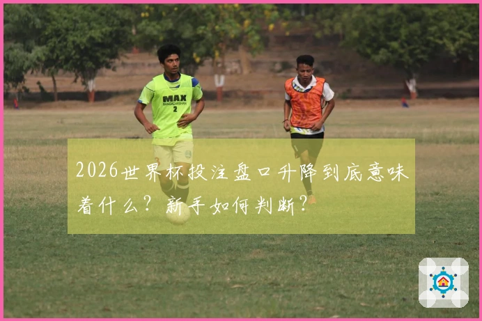 2026世界杯投注盘口升降到底意味着什么？新手如何判断？