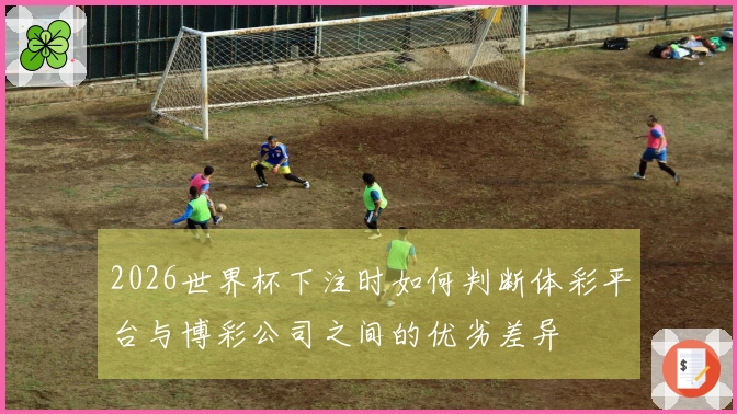 2026世界杯下注时如何判断体彩平台与博彩公司之间的优劣差异