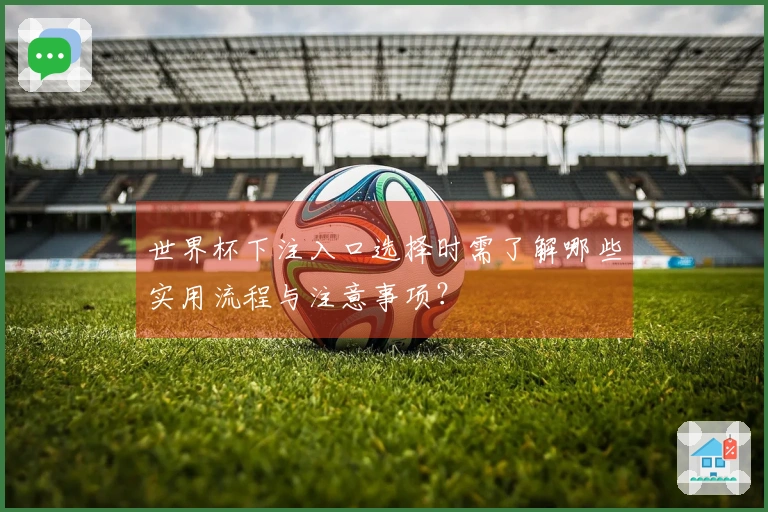 世界杯下注入口选择时需了解哪些实用流程与注意事项？