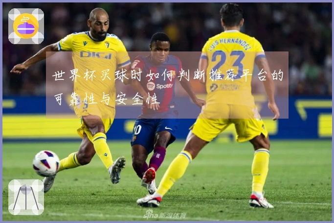 世界杯买球时如何判断推荐平台的可靠性与安全性