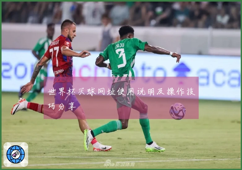 世界杯买球网址使用说明及操作技巧分享