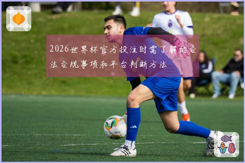 2026世界杯官方投注时需了解的合法合规事项和平台判断方法