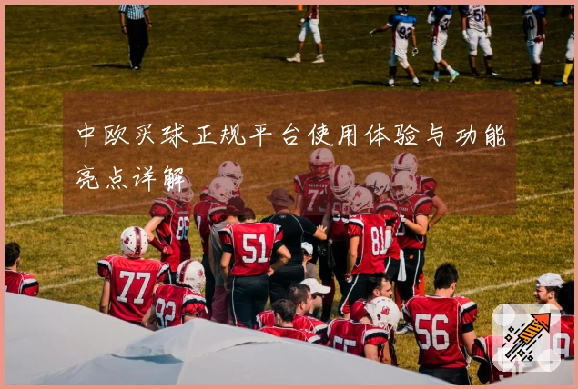 中欧买球正规平台使用体验与功能亮点详解